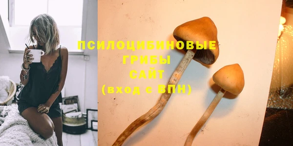 дмт Баксан